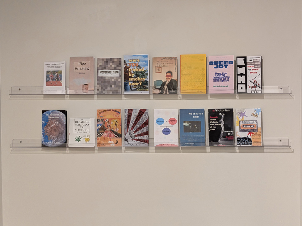2 rows of zines on wall shelves