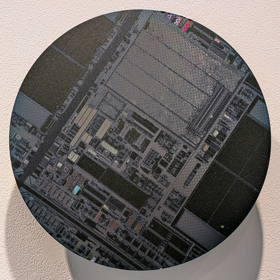 detail: disc with microchip photo applied