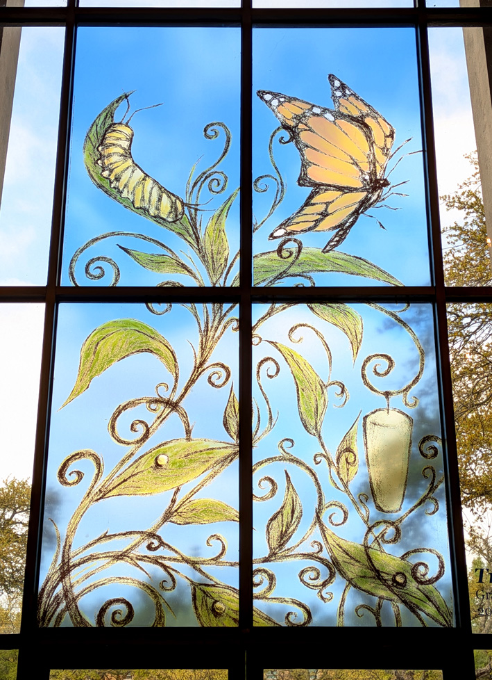 butterfly and caterpillar window cling