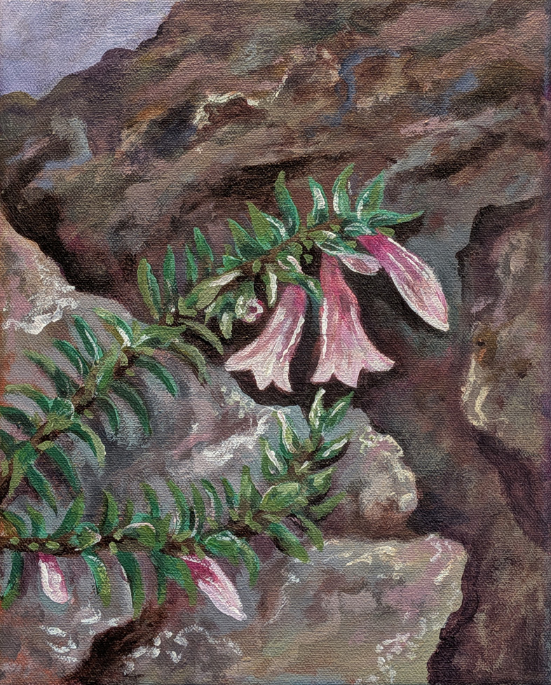 painting of pink flowers