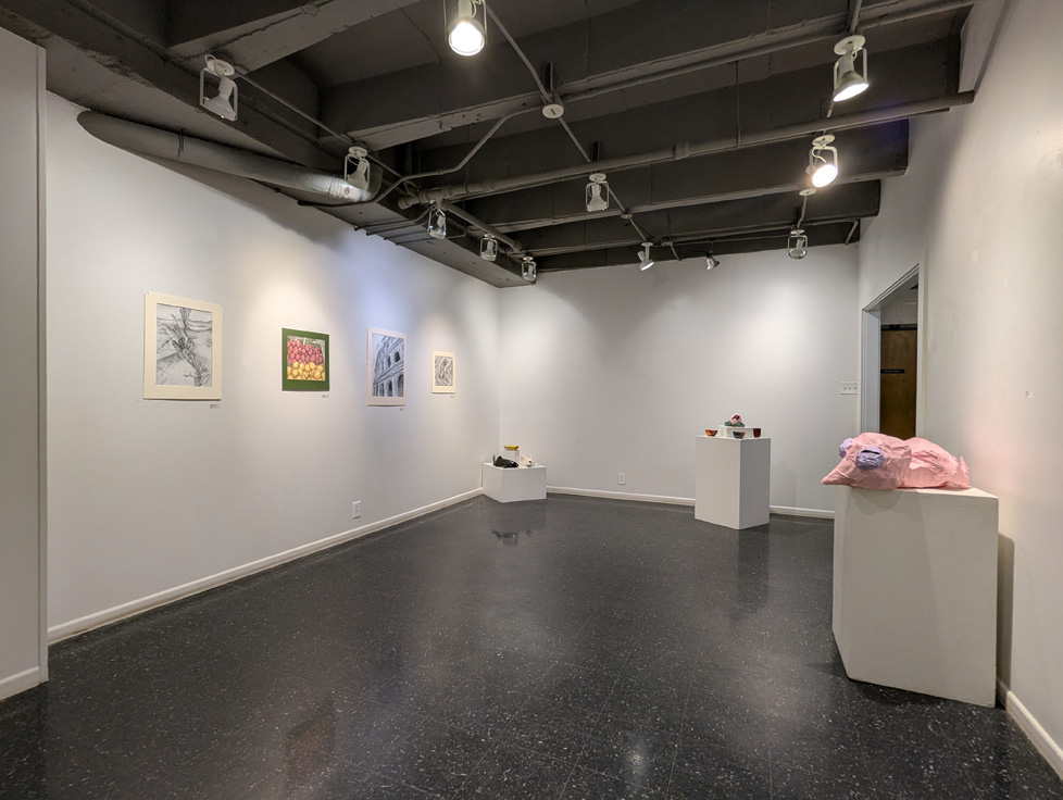 installation view 1