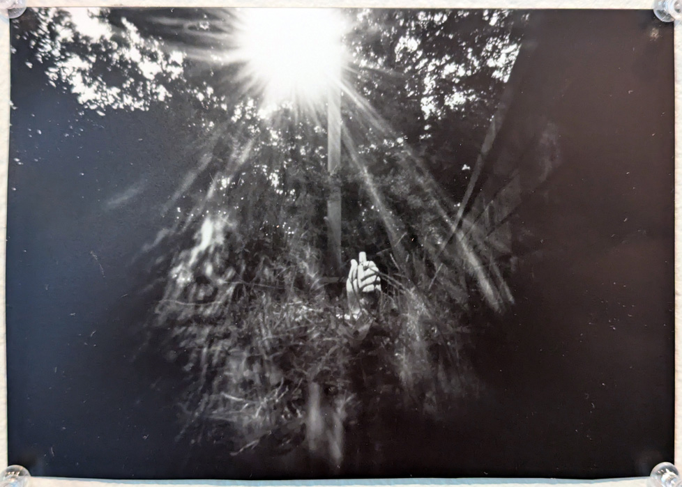 pinhole photo (positive)