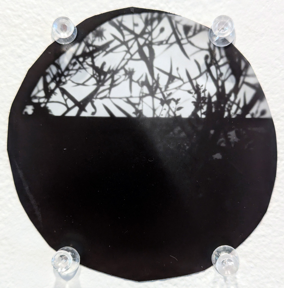 circle pinhole photo