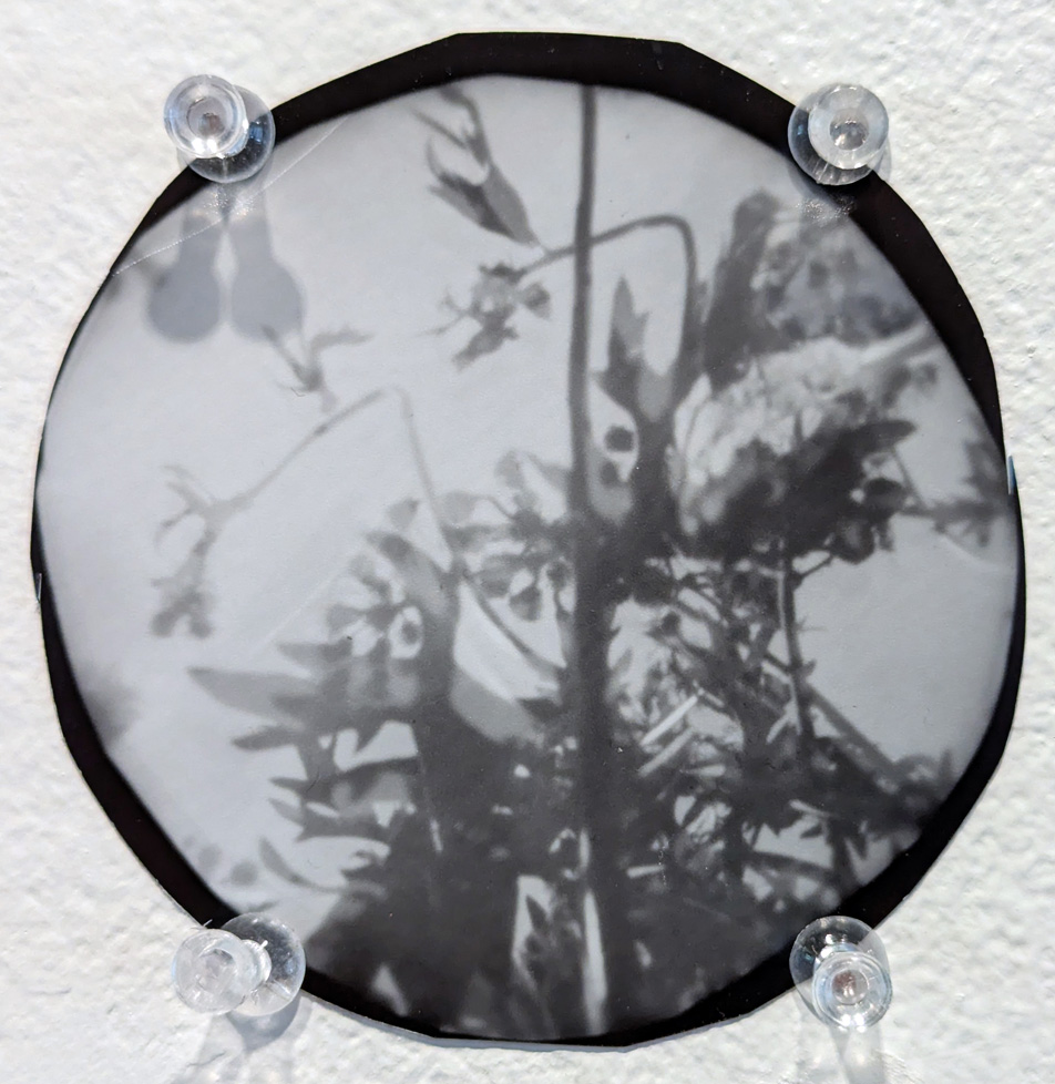 circle pinhole photos