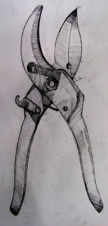 drawing of shears