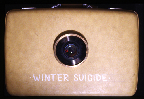 21_wintersuicide