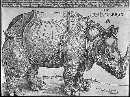 Albrecht Durer, "Rhinoceros," 1515, British Museum
