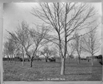 Luckett Athletic Park land donated in 1902